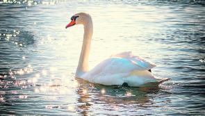 New advisory service is working with farmers to help improve water quality