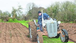 Novice ploughing returns to Granard