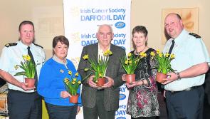 Longford appeal to help cancer patients on Daffodil Day 