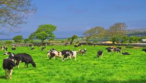 Longford Leader Farming: Co-ops receive long-awaited approval for merger
