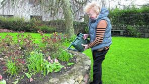 Abbeyshrule&rsquo;s tidy village team, fifty years and gold medals galore 