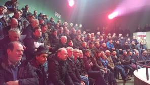 Beef Plan seek urgent  action on prices, trim and grading
