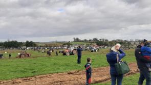 WATCH | 85th Longford Ploughing championship hits Granard 