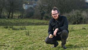 Longford author John Connell to launch The Cow Book in USA