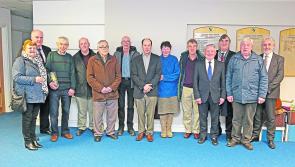 Longford Tidy Towns: Nobody can do everything but everybody can do something