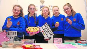 Longford Leader gallery: Moyne CS plait their way to student enterprise awards glory
