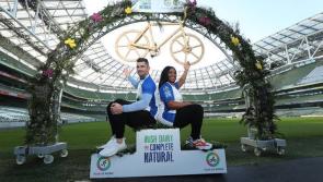 This is the last way to get tickets to Electric Picnic 2019