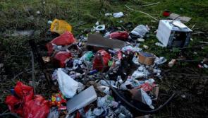 Calls for stricter penalties on Longford's illegal dumping culprits
