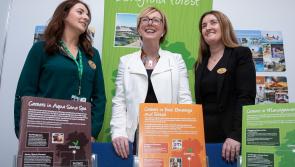 €233m Center Parcs Longford Forest resort represented at Intreo Careers Fair