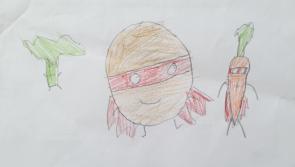 Autism Awareness Week 2019 | The thrilling Super Potato series, by Longford pupil Jamie O'Neill: Episode 1