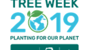 Facts you probably don’t know about Trees!