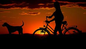 Longford Leader columnist Mattie Fox: Creation of cycle lanes would be a positive move
