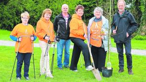 ‘People don’t really understand arthritis unless you are a sufferer’, says Longford mother