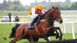 RACING: Top tips for Saturday's card at Fairyhouse