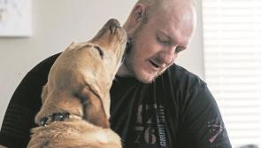 Longford Leader columnist Mattie Fox: Ryan Miller’s sad story highlights need to stamp out head high hits