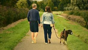 Maxi Zoo to host canine problem solving talk in Longford