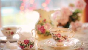 Longford Credit Union to host Alzheimer Café  