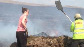MEP candidate McHugh stalls campaign to fight wildfire on Achill Island 
