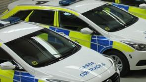 Over 1800 patrols and searches in Longford crime crackdown