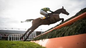 Irish national hunt champion jockey and trainer confirmed as season ends early