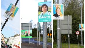ESB issues poster warning to Longford election hopefuls over 'serious safety risk'