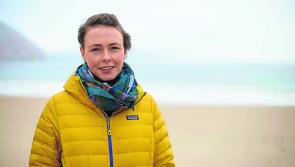Climate change central to McHugh campaign