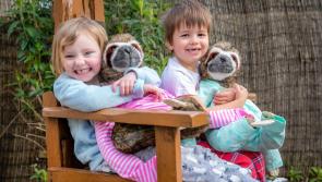 386 children in Longford to take part in National Pyjama Day