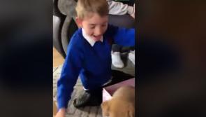 WATCH | Longford boy goes viral with priceless reaction to getting a new puppy for his birthday