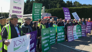 VIDEO| Sheep farmers 'flock' to ICSA protest of falling prices