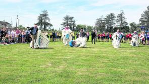 Granard could prove key to council control