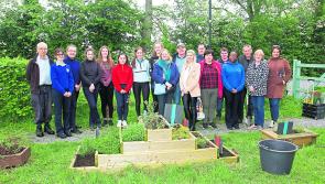 St Christopher's gardeners take on active role in Longford Community garden