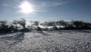 Longford Leader poetry: Disappearing Nature