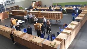Ballymahon Municipal District: Cahill on course to take third seat