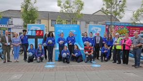 All hands on deck as Tidy towns judges make their way to Longford