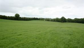 Three Longford farms due to go under the hammer at public auctions 