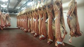 Longford Leader columnist Mattie Fox: Farmers treated badly by meat factories