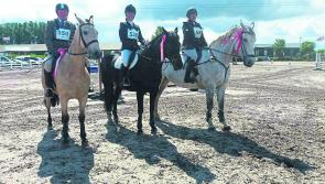 GALLERY| Success keeps coming for members of Longford's Mosstown Riding club