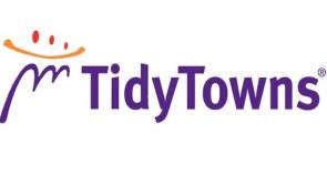 Longford Tidy Towns:  Area Estate Litter League update