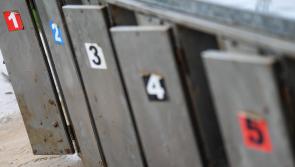 Irish Greyhound Board condemn deplorable actions  highlighted in RTÉ Investigates programme