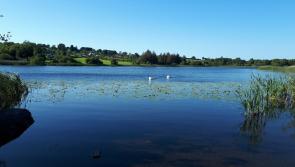 Sizzling temperatures set to continue as Longford basks in glorious sunshine