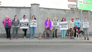 Anti-cruelty activists target Longford greyhound track 