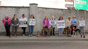'There's a horrible side that was never there before',  Longford greyhound owner 