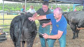 Thousands on offer for exhibitors at Longford Show