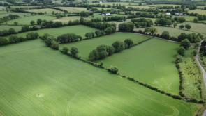 GALLERY| Huge interest in 83-acre Longford farm up for auction