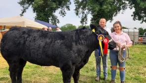 GALLERY| Sunshine, dancing and plenty of action at the Longford show
