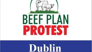 Huge number of farmers assemble for anti-Mercosur Dáíl protest 