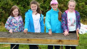 Roving Leader: It is going to be a ‘fair’ olde day in Ballinamuck