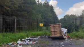 'We are actively trying to stop this', illegal dumping continues in Longford