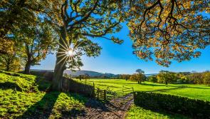 €10,000 prize fund for AXA Farm Hero campaign