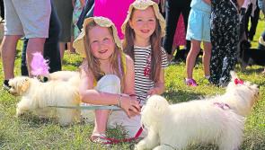 Crowds revel in delights of Ballinamuck Olde Fair Day
